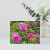 プリンセスアンバラ#2はがき ポストカード (スタンド正面)