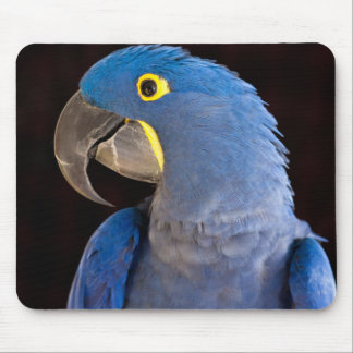 プリンセスタラマウスパッド マウスパッド