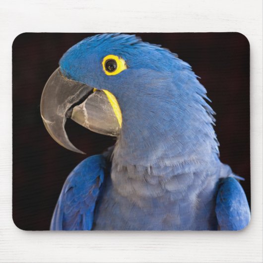 プリンセスタラマウスパッド マウスパッド (正面)