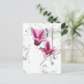 プリンセスダイアナクレマティス ポストカード (スタンド正面)