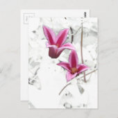 プリンセスダイアナクレマティス ポストカード (正面/裏面)