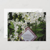 "プリンセスダイアナ"オーキッドガーデン,シンガポール ポストカード (正面/裏面)