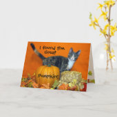 プリンセスティアナのパンプキン最高のの捜索！キャット カード (黄色い花)