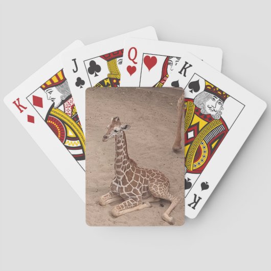 プリンセストランプ トランプ (裏面)