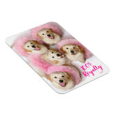 プリンセスドッグズインティアラス マグネット (右側)