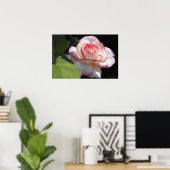 プリンセスバラポスター ポスター (ホームオフィス)