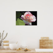 プリンセスバラポスター ポスター (キッチン)