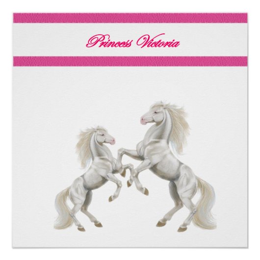 プリンセスビクトリアポスター ポスター (正面)