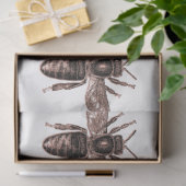 プリンセスビーシリーズデザイン30 薄葉紙 (ギフト)