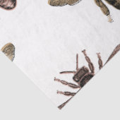 プリンセスビーシリーズデザイン30 薄葉紙 (詳細)