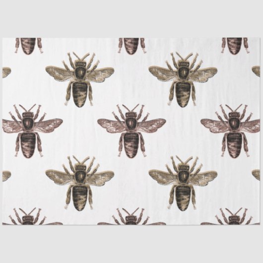 プリンセスビーシリーズデザイン30 薄葉紙 (正面)