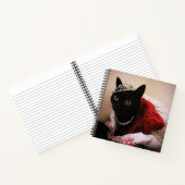 プリンセスベラ ノートブック (内部)