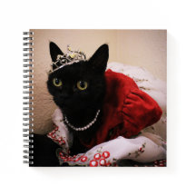 プリンセスベラ