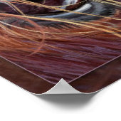 プリンセスワイルド感動的ハート、©キム・マッエルロイ ポスター (角)