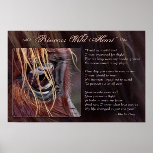 プリンセスワイルド感動的ハート、©キム・マッエルロイ ポスター (正面)