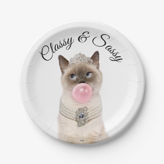 プリンセス吹キャブガム ペーパープレート (正面)