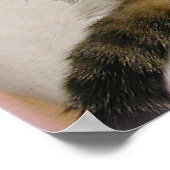 プリンセス猫の後ろ伏せ ポスター (角)