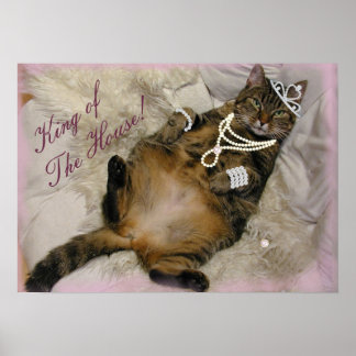 プリンセス猫の後ろ伏せ ポスター