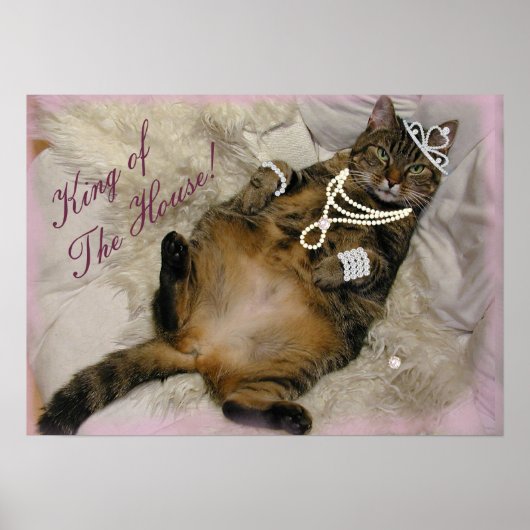 プリンセス猫の後ろ伏せ ポスター (正面)