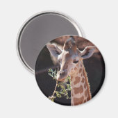 プリンセス磁石#2 マグネット (正面/裏面)