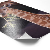 プリンセス4X6プリント#2 フォトプリント            (角)