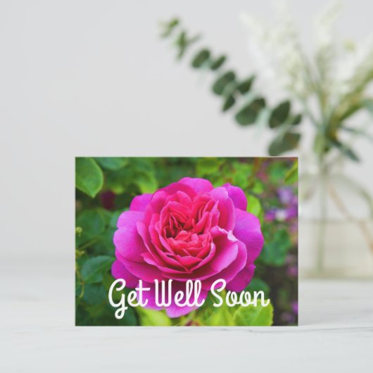 プリンセス・アン・ローズ #1 早くよくなってください ポストカード (スタンド正面)