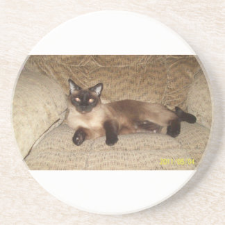 プリンセス コースター