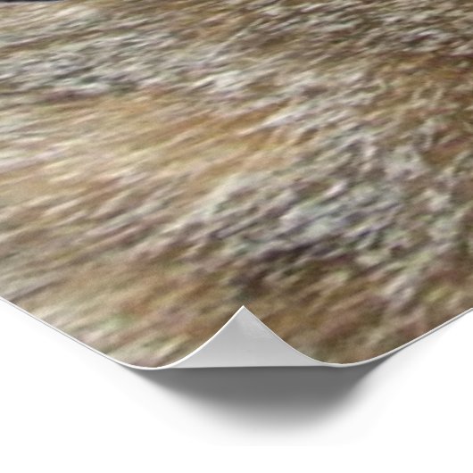 プリンセス タトゥス / エレガントな猫 ビッグディーバハットとローズ ポスター (角)