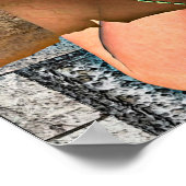 プリンセス&ドラゴン ポスター (角)