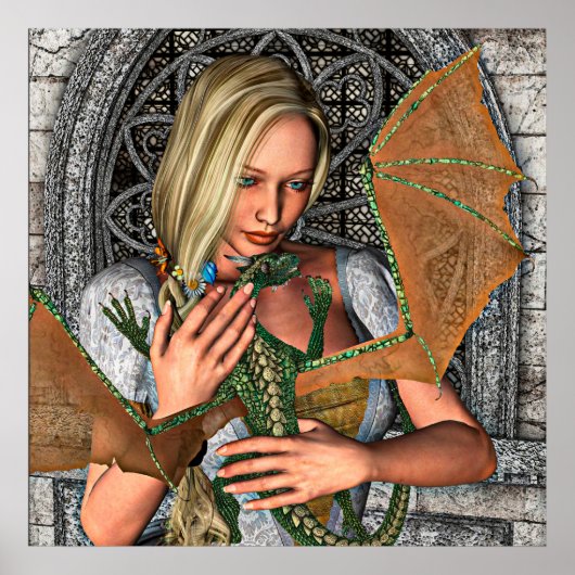 プリンセス&ドラゴン ポスター (正面)