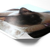 プリンセス フォトプリント            (角)