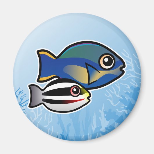 プリンセス マグネット (正面)