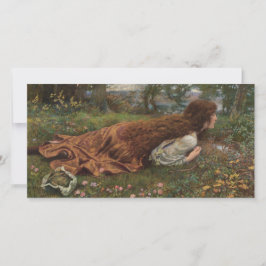 プリンセス（E.R.ヒューズ著） カード