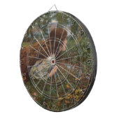 プリンセス（E.R.ヒューズ著） ダーツボード (正面右)