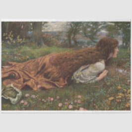 プリンセス（E.R.ヒューズ著） 薄葉紙