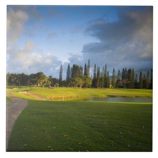 プリンセヴィルのマカイゴルフ場 タイル (正面)