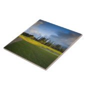 プリンセヴィルのマカイゴルフ場 タイル (側面)