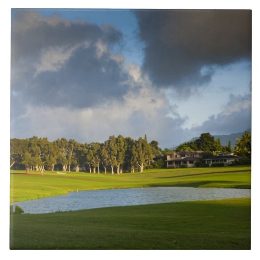 プリンセヴィルのマカイゴルフ場 タイル (正面)