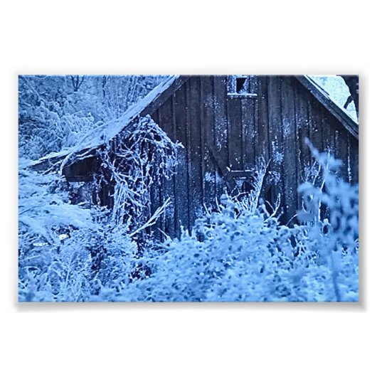 プリントの写真 フォトプリント            (正面)