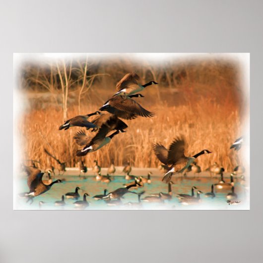 プリントの飛行ファンシー ポスター (正面)