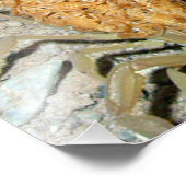 プリントフォトアリゾナのバークスコーピオンとベビー フォトプリント            (角)