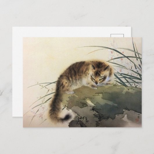 プリント日本のキャットバイザウォーター ポストカード (正面/裏面)