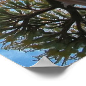 プリント：アガベ ポスター (角)