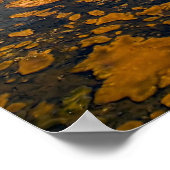 プリント-イエローストーン国立公園ガイザー ポスター (角)