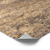 プリント：オールドウッドハウス ポスター (角)