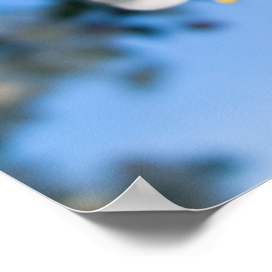 プリント – カニりんご花 (角)