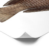 プリント「クロルストロシャリ」 ポスター (角)