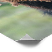 プリント：バイソンポートレート ポスター (角)