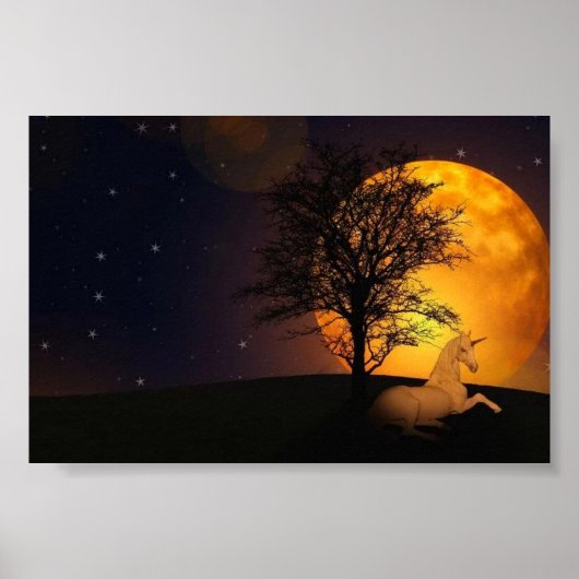 プリント、バリューポスター紙（マット） ポスター (正面)