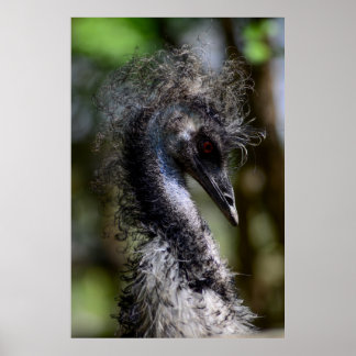 プリント、バリューポスター紙(マット) ポスター